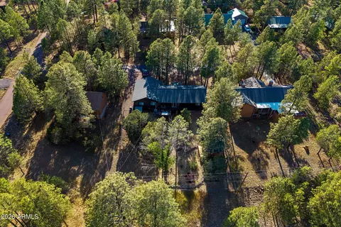 View/Area - 3307 Pine Cone Dr, Overgaard, AZ 85933 photo 2 of 7