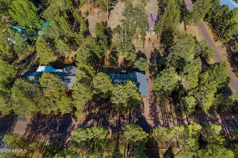 View/Area - 3307 Pine Cone Dr, Overgaard, AZ 85933 photo 6 of 7