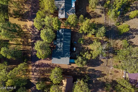 View/Area - 3307 Pine Cone Dr, Overgaard, AZ 85933 photo 7 of 7