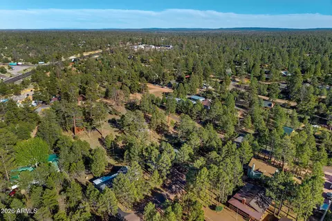 View/Area - 3307 Pine Cone Dr, Overgaard, AZ 85933 photo 4 of 7