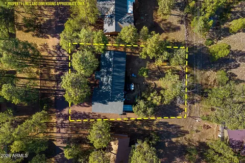 View/Area - 3307 Pine Cone Dr, Overgaard, AZ 85933 photo 1 of 7