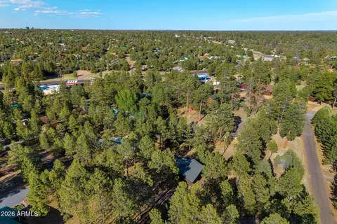 View/Area - 3307 Pine Cone Dr, Overgaard, AZ 85933 photo 5 of 7