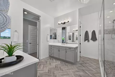 Bath - 10322 E Thatcher Ave, Mesa, AZ 85212 photo 4 of 6