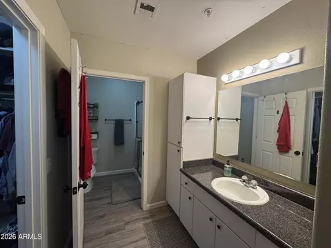 Bath - 1295 N Ash St #421, Gilbert, AZ 85233 photo 2 of 3