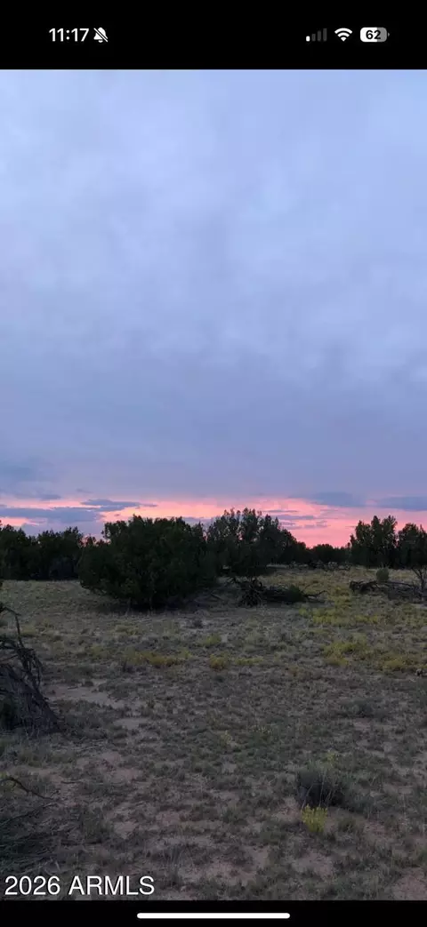 N7349 N N7349 -- #205-84-262, Saint Johns, AZ 85936