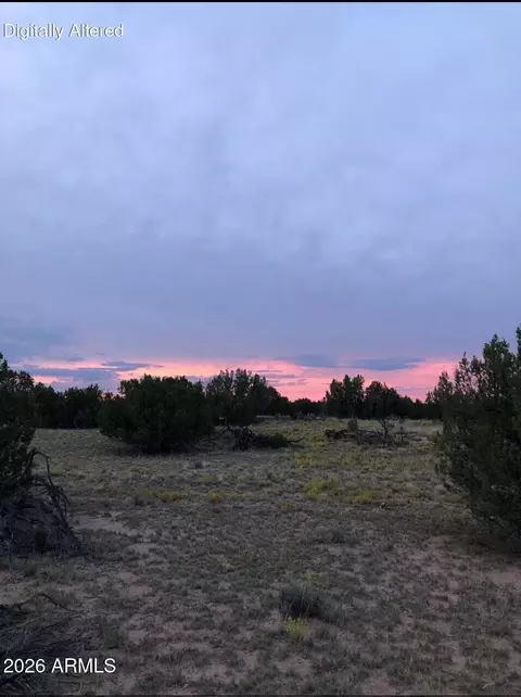 N7349 N N7349 -- #205-84-262, Saint Johns, AZ 85936