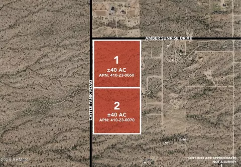 80 E Acres E Amber Sunrise Dr #-, Marana, AZ 85658
