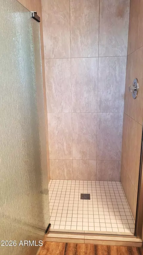 Bath - 8258 E Kilarea Ave, Mesa, AZ 85209 photo 2 of 3