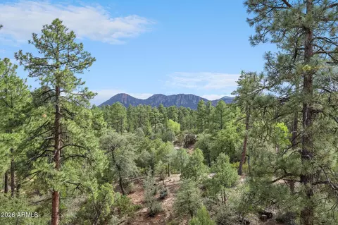 Other - 3003 E Arrow Pt, Payson, AZ 85541 photo 4 of 20