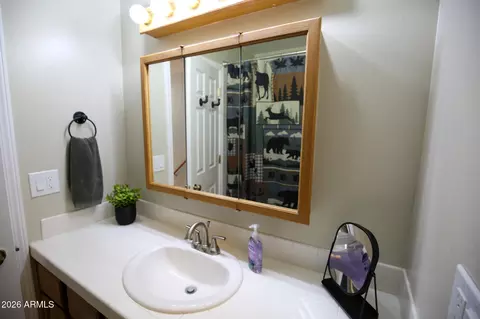 Bath - 3664 N Mistletoe Dr, Pine, AZ 85544 photo 7 of 8