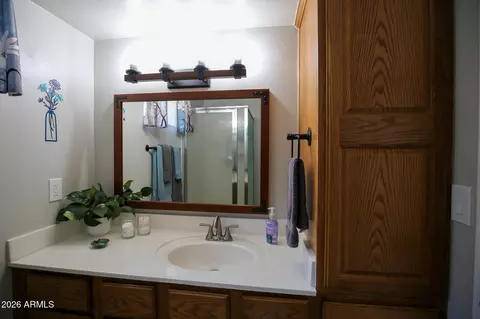 Bath - 3664 N Mistletoe Dr, Pine, AZ 85544 photo 4 of 8