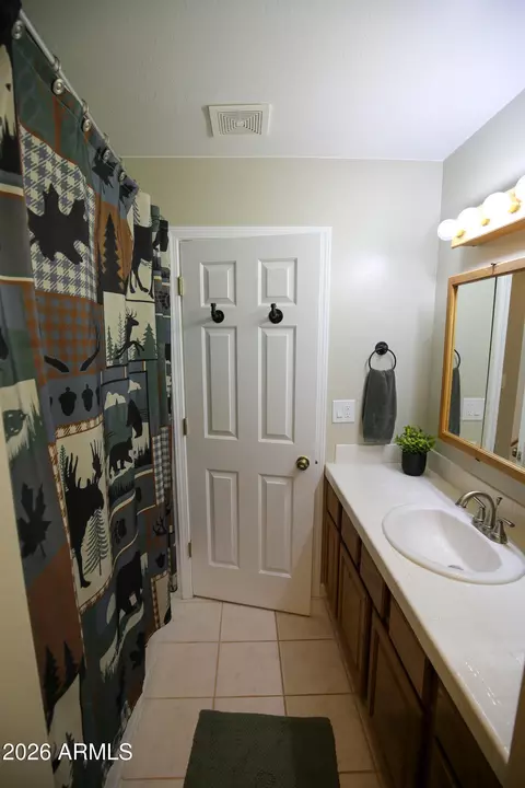 Bath - 3664 N Mistletoe Dr, Pine, AZ 85544 photo 6 of 8