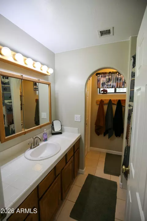Bath - 3664 N Mistletoe Dr, Pine, AZ 85544 photo 5 of 8