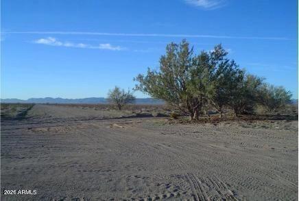 66 W St #1, Salome, AZ 85348