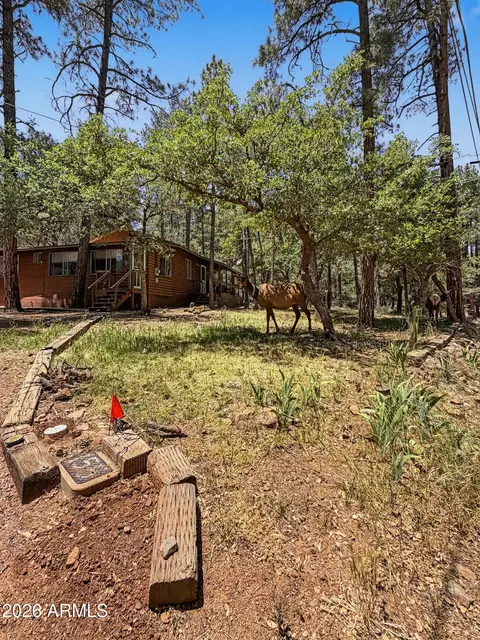 Exterior - 3780 N Hunt Dr, Pine, AZ 85544 photo 9 of 26