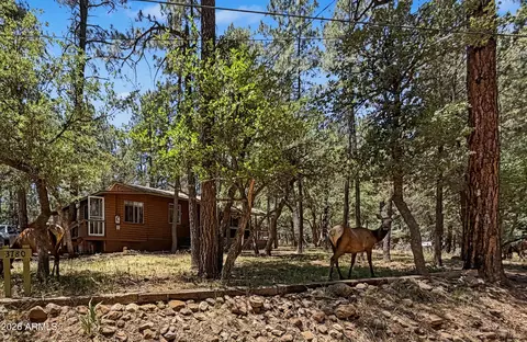3780 N Hunt Dr, Pine, AZ 85544