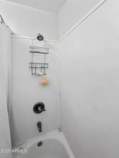 Bath - 3780 N Hunt Dr, Pine, AZ 85544 photo 3 of 7