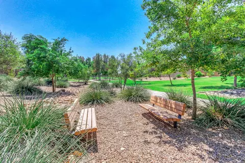 View/Area - 4674 E Maplewood St, Gilbert, AZ 85297 photo 38 of 63