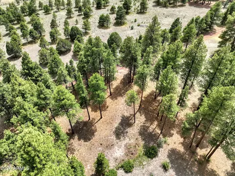 12847 E Dream Acres Ln #-, Parks, AZ 86018