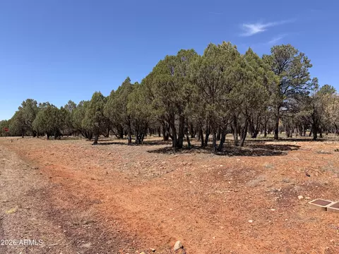 2756 Apollo Cir #141, Overgaard, AZ 85933