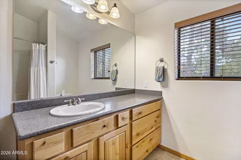 Bath - 2231 Fairway Dr, Overgaard, AZ 85933 photo 6 of 7
