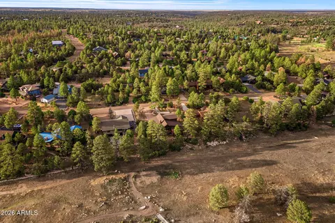 View/Area - 2231 Fairway Dr, Overgaard, AZ 85933 photo 3 of 7