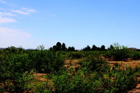 401 E Acres E Antelope Rd #37, Pearce, AZ 85625 photo 15