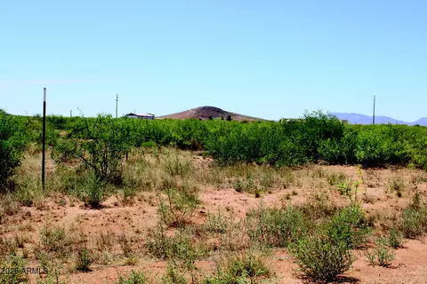 401 E Acres E Antelope Rd #37, Pearce, AZ 85625 photo 18