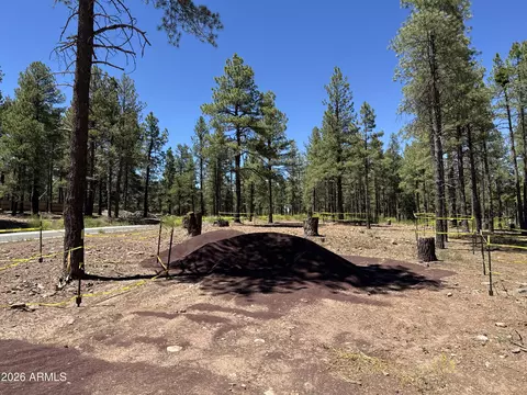 1985 Flower Spring Trl #59, Flagstaff, AZ 86005
