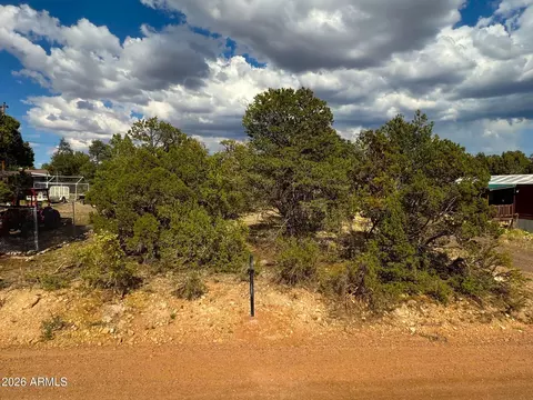 3491 Evergreen Dr #322, Overgaard, AZ 85933