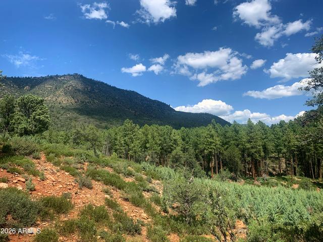 lot49 W Ruin Hill Loop Loop #49, Pine, AZ 85544