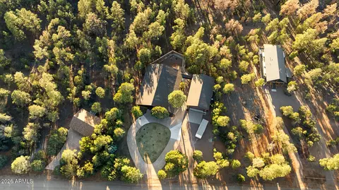 View/Area - 2940 Constellation Ln, Overgaard, AZ 85933 photo 3 of 5