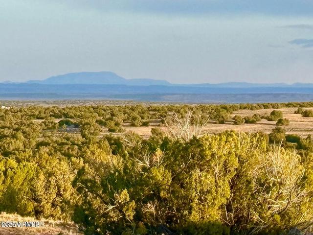 tbd Co Rd N7120 40 Acres -- #-, Saint Johns, AZ 85936