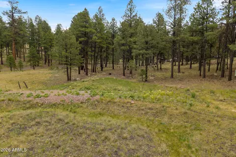 tbd County Rd 2121 -- #-, Alpine, AZ 85920 photo 1