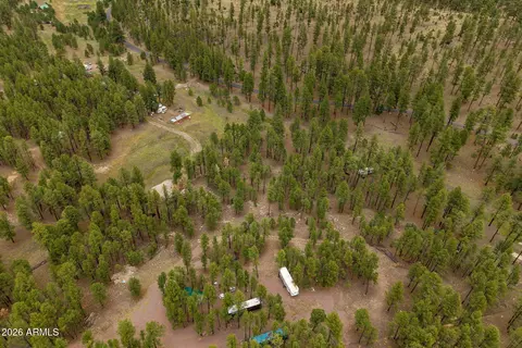 tbd County Rd 2121 -- #-, Alpine, AZ 85920 photo 11
