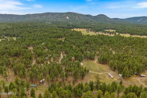 tbd County Rd 2121 -- #-, Alpine, AZ 85920 photo 14