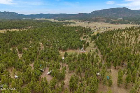 tbd County Rd 2121 -- #-, Alpine, AZ 85920 photo 19