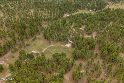 tbd County Rd 2121 -- #-, Alpine, AZ 85920 photo 9