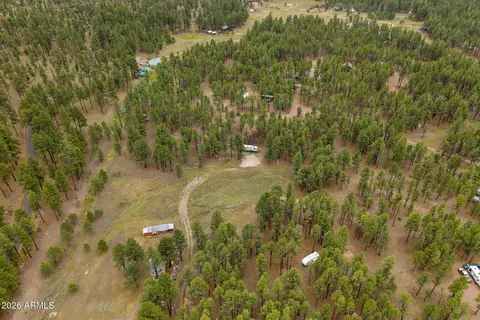 tbd County Rd 2121 -- #-, Alpine, AZ 85920 photo 8