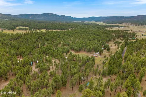 tbd County Rd 2121 -- #-, Alpine, AZ 85920 photo 13