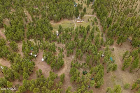 tbd County Rd 2121 -- #-, Alpine, AZ 85920 photo 12
