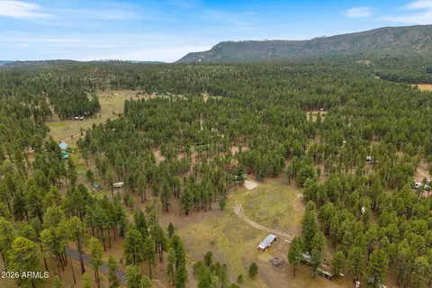 tbd County Rd 2121 -- #-, Alpine, AZ 85920 photo 15