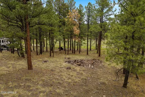 tbd County Rd 2121 -- #-, Alpine, AZ 85920 photo 3