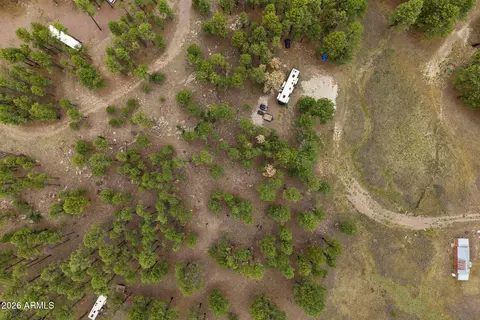 tbd County Rd 2121 -- #-, Alpine, AZ 85920 photo 5