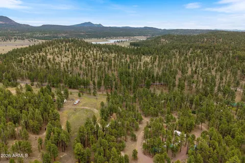 tbd County Rd 2121 -- #-, Alpine, AZ 85920 photo 17