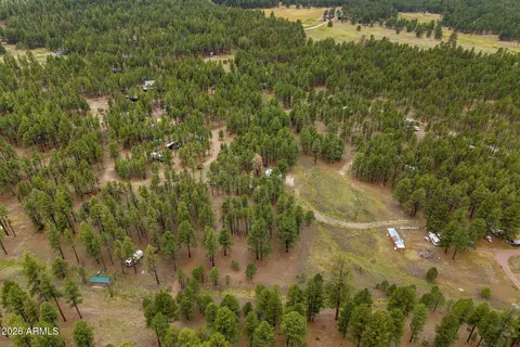 tbd County Rd 2121 -- #-, Alpine, AZ 85920 photo 6