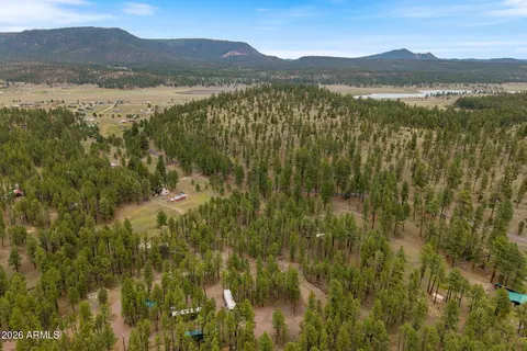 tbd County Rd 2121 -- #-, Alpine, AZ 85920 photo 18