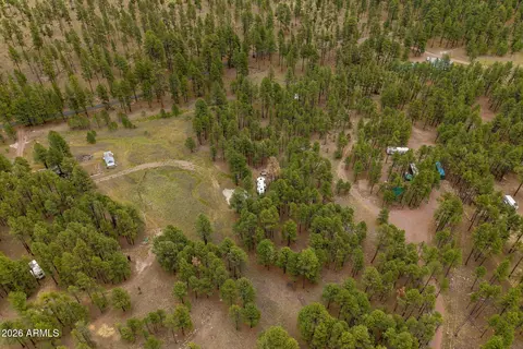 tbd County Rd 2121 -- #-, Alpine, AZ 85920 photo 10