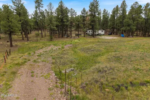 tbd County Rd 2121 -- #-, Alpine, AZ 85920 photo 2