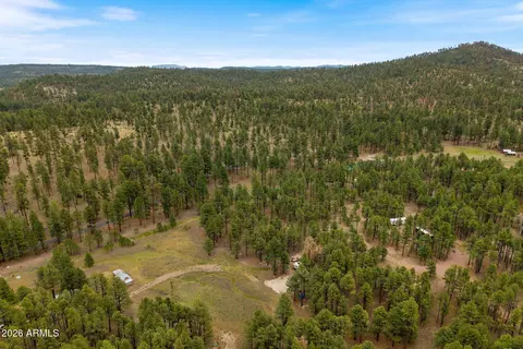 tbd County Rd 2121 -- #-, Alpine, AZ 85920 photo 16